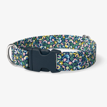 image of front of collar. image of front of collar.